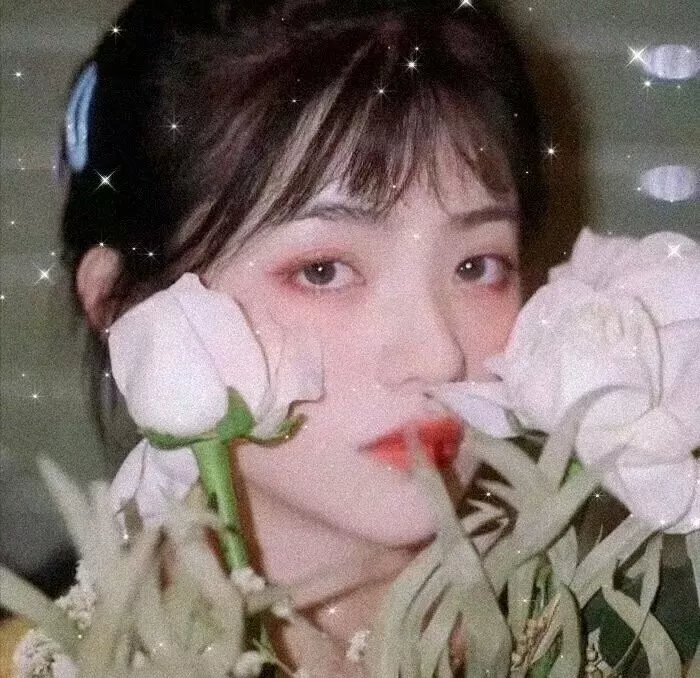 龙虎金刚